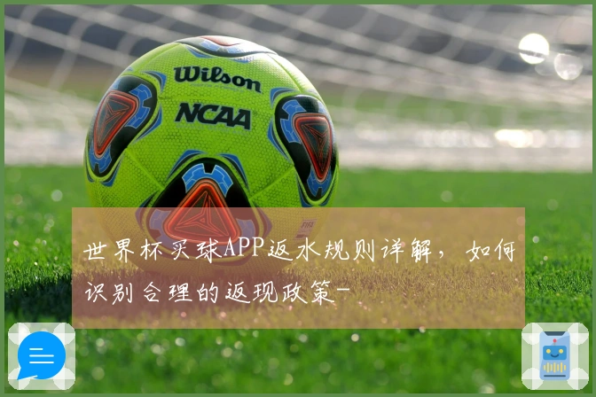 世界杯买球APP返水规则详解，如何识别合理的返现政策-