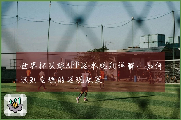 世界杯买球APP返水规则详解，如何识别合理的返现政策-