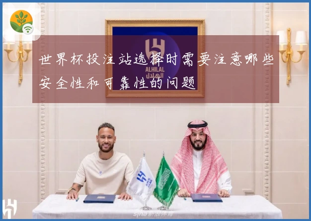 世界杯投注站选择时需要注意哪些安全性和可靠性的问题