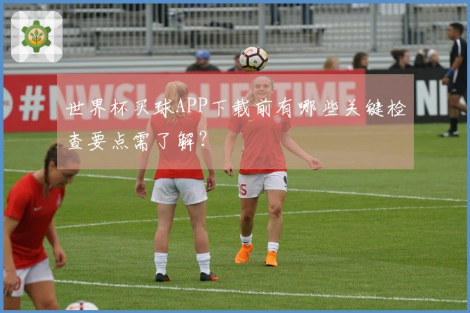 世界杯买球APP下载前有哪些关键检查要点需了解？