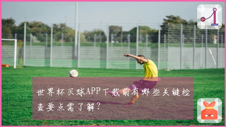 世界杯买球APP下载前有哪些关键检查要点需了解?